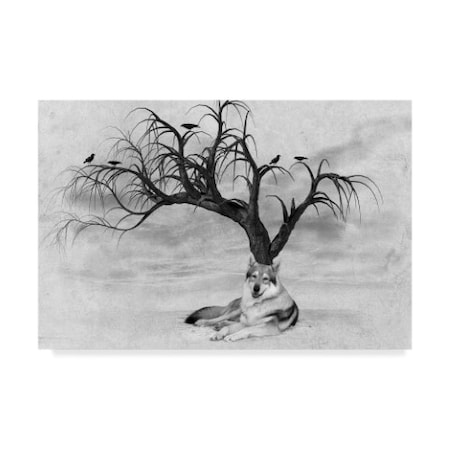 Ata Alishahi 'Lone Wolf And Tree' Canvas Art,16x24